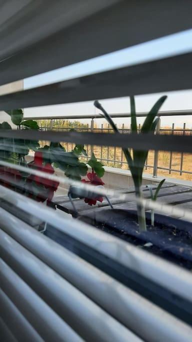 بلوفديف Rowing Base Apartment المظهر الخارجي الصورة