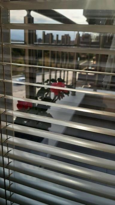 بلوفديف Rowing Base Apartment المظهر الخارجي الصورة
