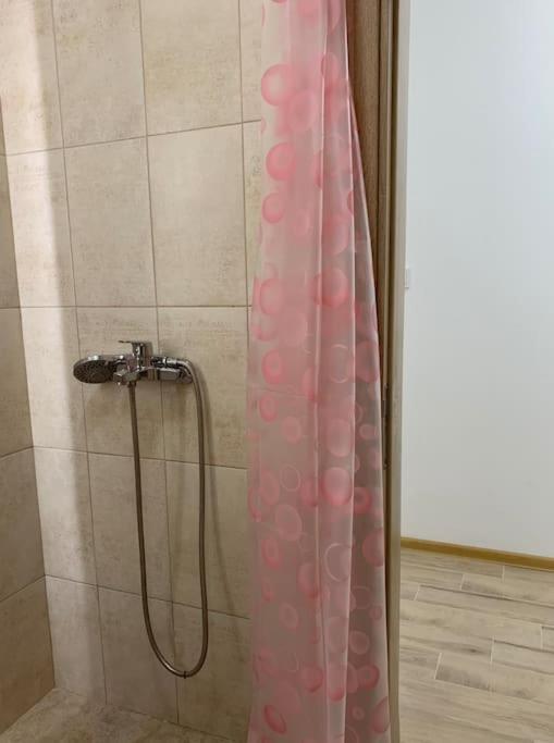بلوفديف Rowing Base Apartment المظهر الخارجي الصورة