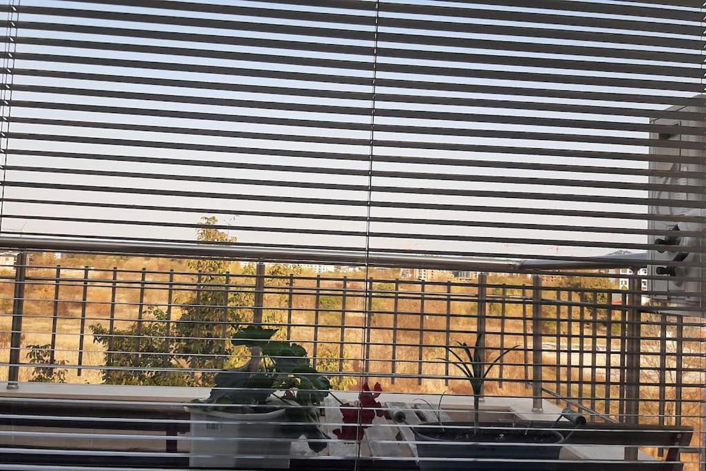 بلوفديف Rowing Base Apartment المظهر الخارجي الصورة